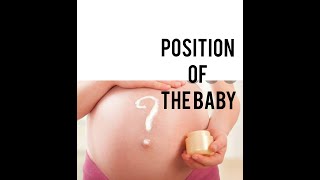 position of the fetus [upl. by Ahseekat]