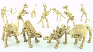 12 dinosaur skeletons  Toy fossil dinosaurs bones  Tyrannosaurus Stegosaurus Triceratops [upl. by Aran]