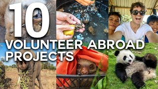 10 LIFE CHANGING VOLUNTEER ABROAD EXPERIENCES [upl. by Sug622]