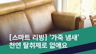 스마트 리빙 가죽 냄새 천연 탈취제로 없애요 20190516뉴스투데이MBC [upl. by Eniar768]