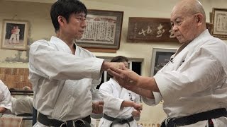 Shotokan karate meets Okinawan Karate【Tatsuya Naka】 [upl. by Uamak663]