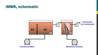 MBR Insights − Immersed membrane bioreactor process [upl. by Dibru806]