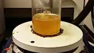 Reaction of Castor Oil With Sebacic Acid [upl. by Sivrad]