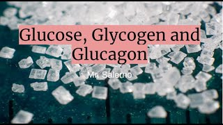 Glucose Glycogen and Glucagon [upl. by Anilek448]