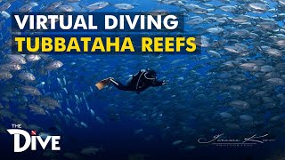 TUBBATAHA REEF Virtual Adventure at UNESCO World Heritage Site with Mama Ranger  THE DIVE [upl. by Leraj818]