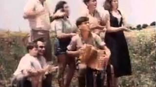 Hava Nagila  Famous Israeli jewish folk song  authentic dance [upl. by Pugh146]