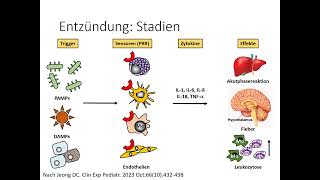 Autoinflammation Teil 1 [upl. by Noynek]