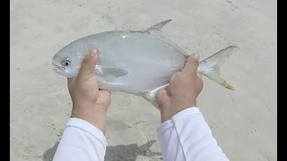 Surf Fishing in Panama City FL  POMPANO WHITING BLUEFISH AND SHARK [upl. by Eta852]