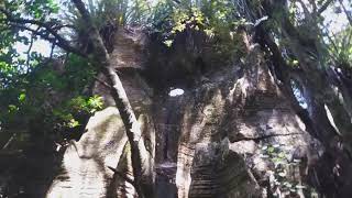 Kawiti Glow Worm Caves  Bush walk [upl. by Rammus]