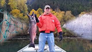 9 Fingers Charters on Chilkat Lake [upl. by Amelita447]