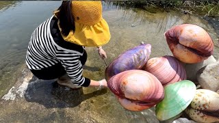 Ancient river after the flood Some beautiful pearl shellfish [upl. by Onofredo253]