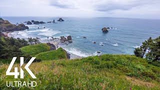 8 HOURS Ocean Waves Soundscape in 4K  Ocean Sounds and Singing Birds Ambience Oregon Coast [upl. by Yrrot]