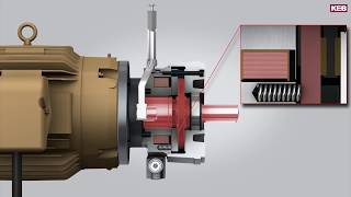 NEMA Double CFace Brakes [upl. by Lleumas]