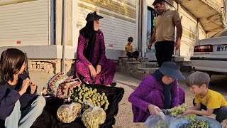 Resilient Widow A Nomadic Mothers Struggle to Support Her Family 2024 [upl. by Ahseinat]