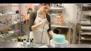 How to Airbrush a Cake  Cake Decorations [upl. by Jeanne985]