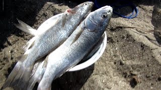 Pesca en Arquillo con Grupo PescAmigos  Paracas Pisco Peru [upl. by Ddene142]