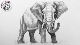 Como Dibujar un Elefante Realista con Lapiz muy Fácil y Paso a Paso [upl. by Ventre]