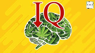 How Marijuana Affects The Developing Teenage Brain [upl. by Hcurob]