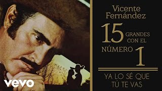 Vicente Fernández  Ya Lo Sé Que Tú Te Vas Tema Remasterizado Cover Audio [upl. by Berky]