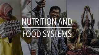 FAO Policy Series Nutrition and Food Systems [upl. by Ursel]