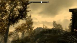 Birds and Flocks  Skyrim Mod Reviews [upl. by Eenot]