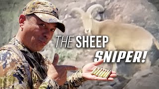 WILD Aoudad SNIPER Sheep Hunting in Texas Catch Clean Cook [upl. by Eladnek]