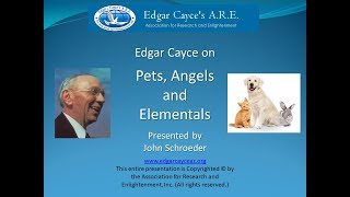 Edgar Cayce on Pets Angels and Elementals [upl. by Otrevogir]