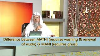 Difference between Mani Semen and Mathi Urethral fluid  Sheikh Assimalhakeem [upl. by Paolina60]