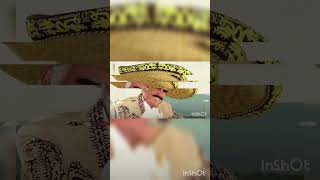 Vicente Fernández music [upl. by Mini]