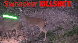 Swhacker KILLSHOT  SlowMotion  Whitetail Bowhunting [upl. by Mani95]