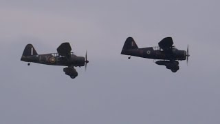 Westland Lysanders at Duxford 17th September 2023 [upl. by Eniamrehc]