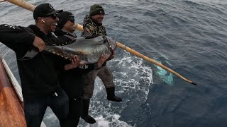 JUMBO Bluefin Tuna Fishing in San Diego [upl. by Tayib]