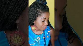 Box Braid Tutorial [upl. by Einhapets776]