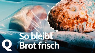 Brot richtig aufbewahren So bleibts frisch  Quarks [upl. by Gwendolin]