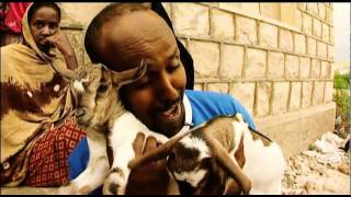 WALI HASHI  quotOlen somalialainenquot [upl. by Acireit947]