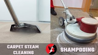 Carpet Steam Cleaning vs Shampooing [upl. by Legnaleugim433]