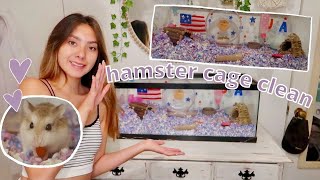 HAMSTER CAGE CLEAN OUT Roborovski Hamster [upl. by Alyakcm]