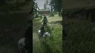 When your friends try to purposely run you over😂 gaming rdr2 reddeadonline reddeadfunny humor [upl. by Shelly512]