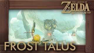 Zelda Breath of the Wild  All Frost Talus Locations [upl. by Ahsaf]