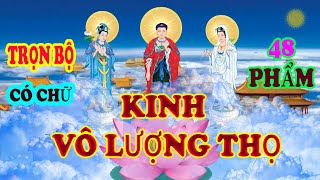 KINH VÔ LƯỢNG THỌ  có chữ  TT Thích Trí Thoát [upl. by Amby]