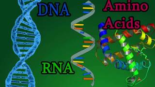 Rheumatoid arthritis  causes symptoms diagnosis treatment pathology [upl. by Lynsey]