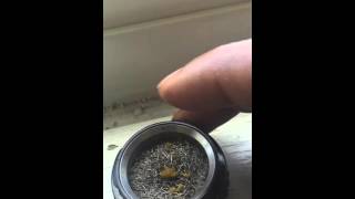 Volcano vaporizer with wax [upl. by Laing]