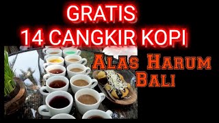 KOPI LUWAK  KOPI TERMAHAL DI DUNIA  ALAS HARUM BALI [upl. by Greenstein]