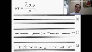 05 Escoamento laminar e turbulento [upl. by Polito]