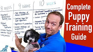 Your Complete Puppy Training Schedule By Age [upl. by Elvie]