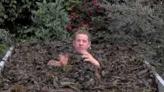 SEAWEED HOW TO USE IN YOUR GARDEN [upl. by Nednerb]