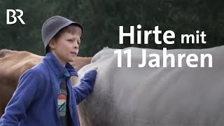 Ferien auf Allgäuer Alpe Kleinhirte mit 11 Jahren  Zwischen Spessart und Karwendel  BR [upl. by Torrence]