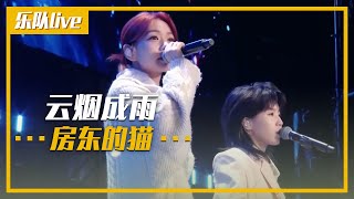 房东的猫演唱《云烟成雨》 温暖的声音让人心旷神怡 乐队live  中国音乐电视 Music TV [upl. by Notnirb]