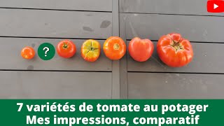 7 variétés de tomate au potager mes impressions comparatif [upl. by Canter842]