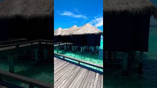 Wow what a view  Maldives water villa  water bungalow  Sheraton Maldivesshorts travel maldives [upl. by Bernat202]